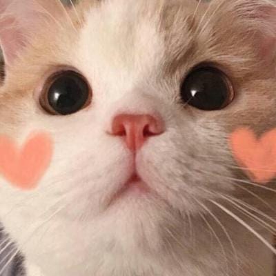 Yusuf Kalla avatar